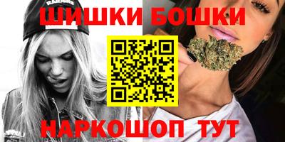 мдпв Славгород