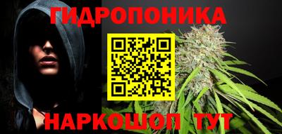 мдпв Славгород