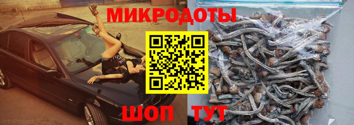 Псилоцибиновые грибы прущие грибы Сафоново