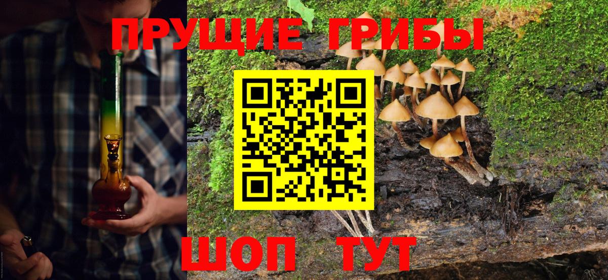 Галлюциногенные грибы прущие грибы  Вход с VPN  Сафоново  Галлюциногенные грибы мухоморы 