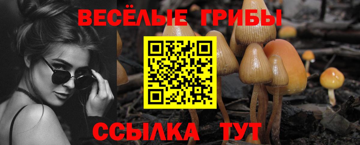 Псилоцибиновые грибы Magic Shrooms Сафоново